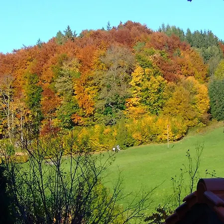Lehnhaeusl Aschauer 3*