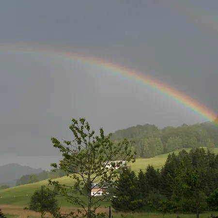 Lehnhaeusl Aschauer Guest house Berchtesgaden